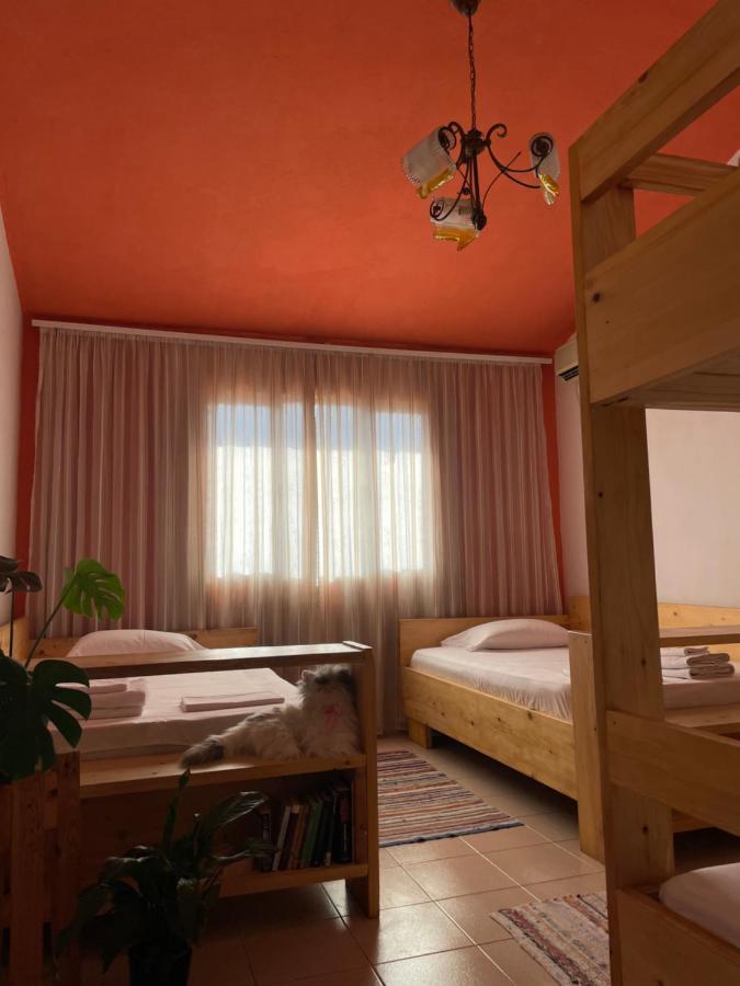 Cozy Big Apartment With Balcony Tirana Exterior photo